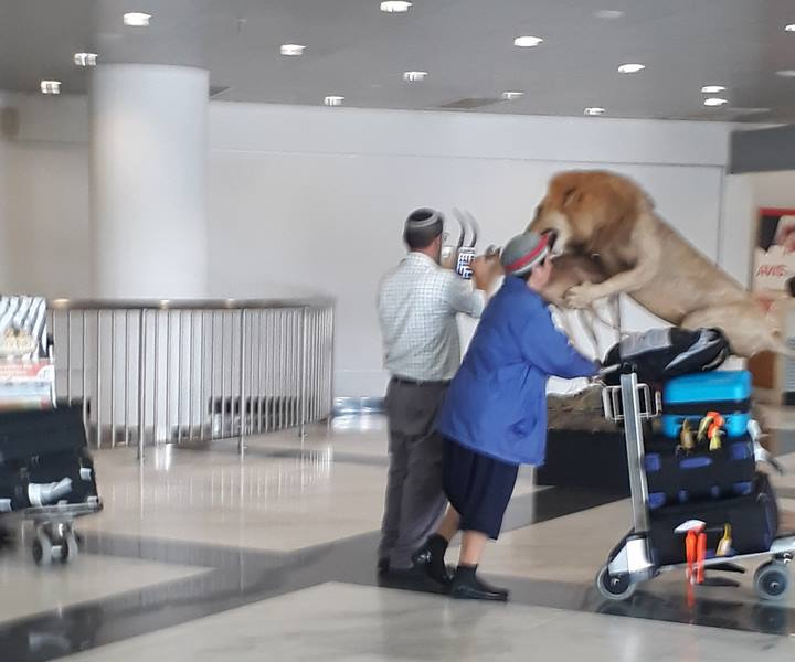 airport2.jpg