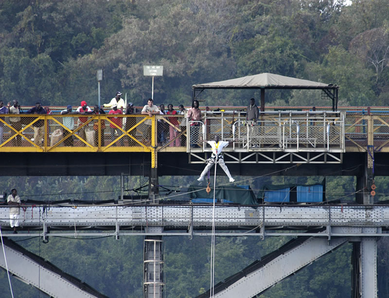 Bridge-Swing-3.jpg