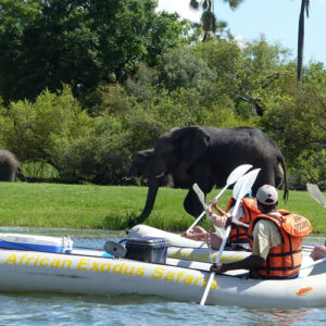 Half Day Canoeing