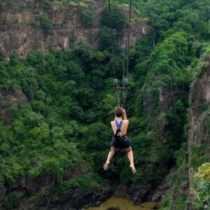 High Wire & Canopy Tour Pass