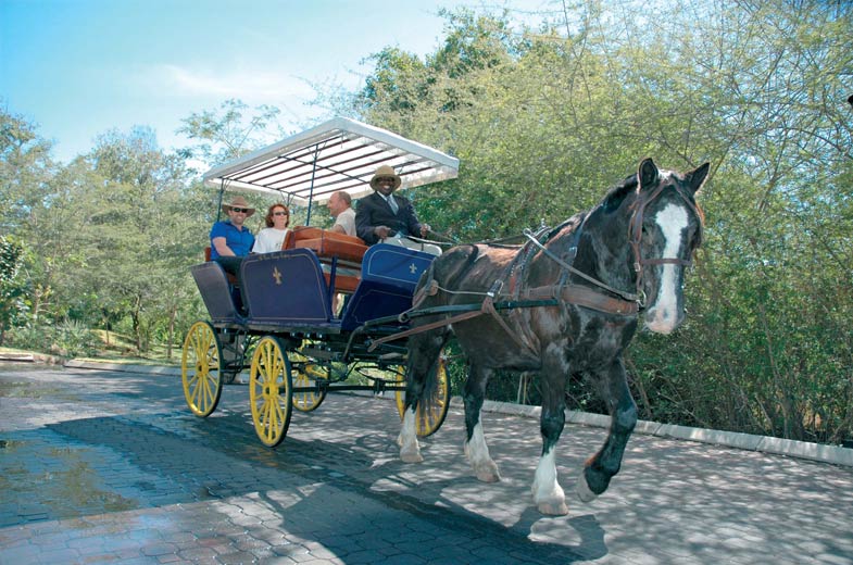 Horse-Back-Trails.6.jpg