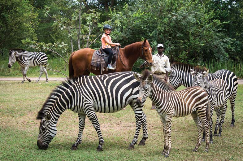 Horse-Back-Trails.9.jpg