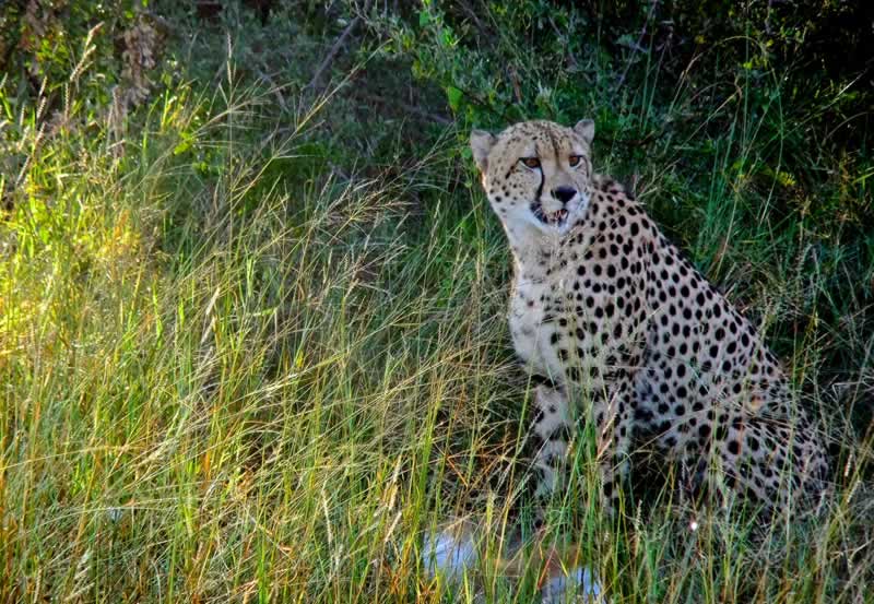 Hwange-Day-Trip.1.jpg
