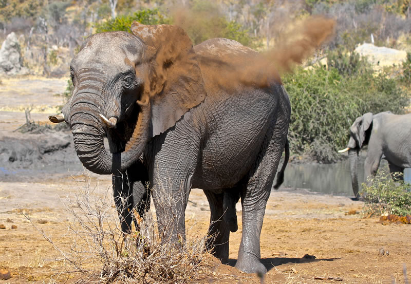 Hwange-Day-Trip.2.jpg
