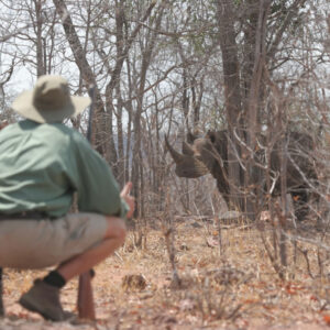 Hwange Mobile Camping Safari 7 Days