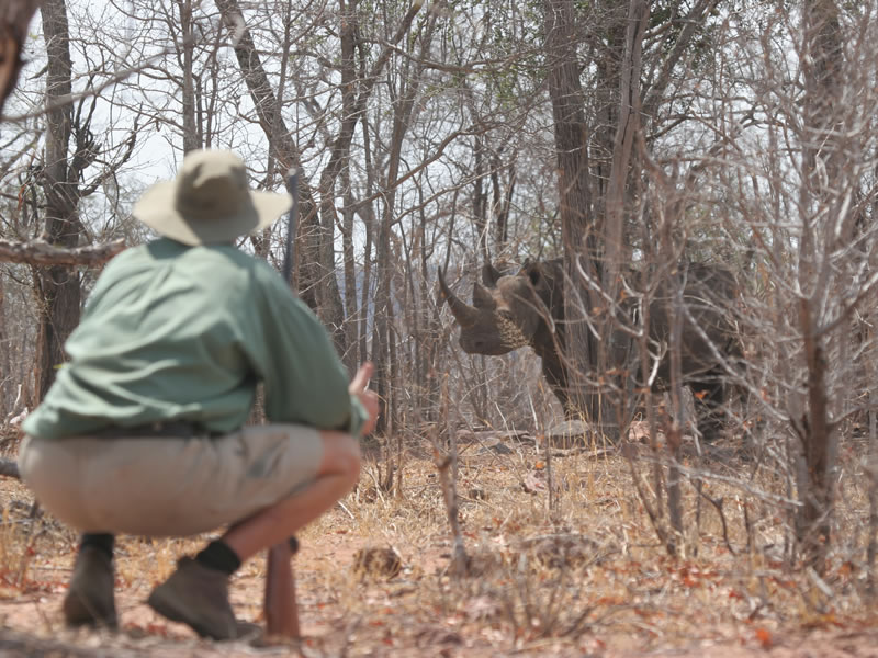 Hwange-Mobile-Camping-Safari-7-Days.1.jpg