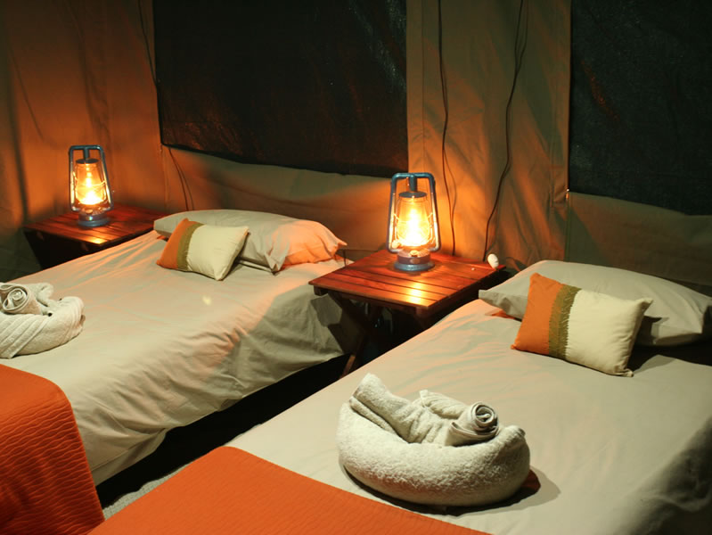 Hwange-Mobile-Camping-Safari-7-Days.5.jpg