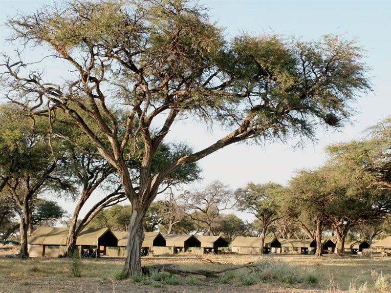 Hwange-Mobile-Camping-Safari-7-Days.8.jpg