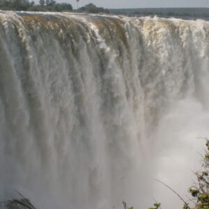 Livingstone Island Tour