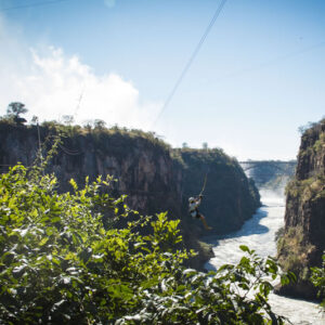 Vic Falls Canopy Tour