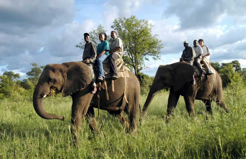 elephant-Rides3.jpg