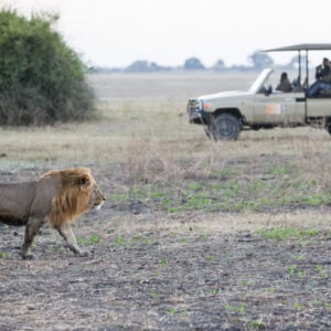 Victoria Falls 4 Day Adventure Package