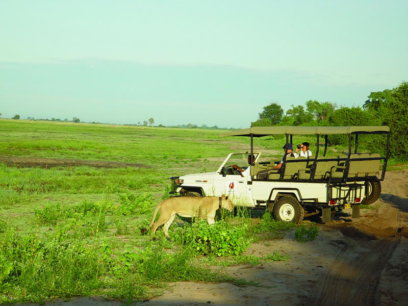 game-drives1-h.jpg