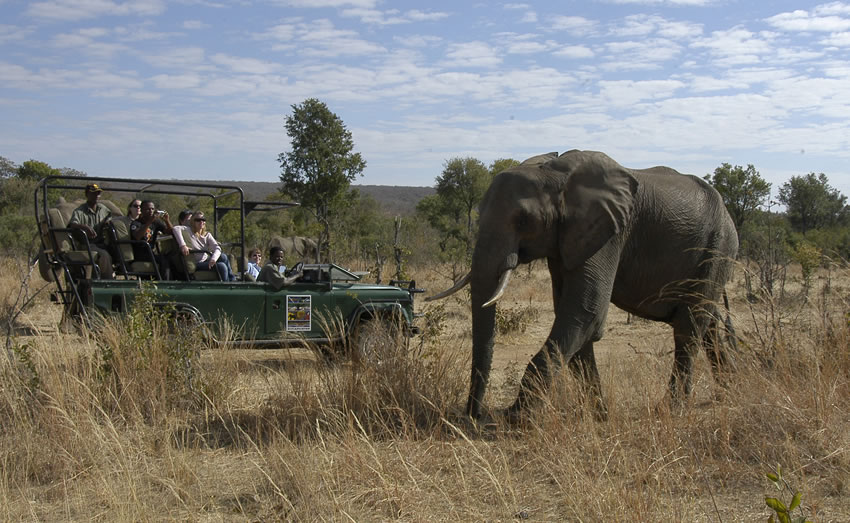 game-drives3.jpg