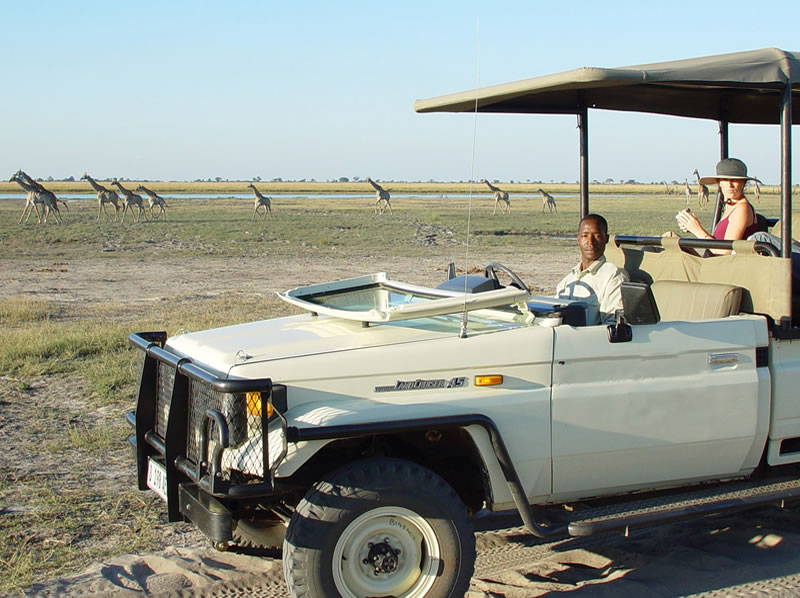game-drives4-g.jpg