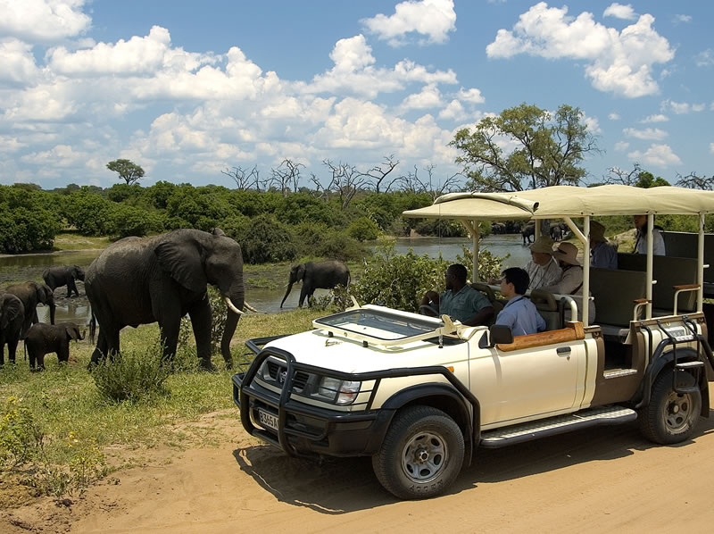 game-drives6.jpg
