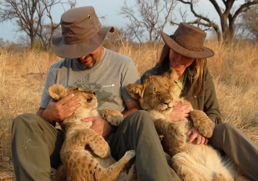 lion-walks1.jpg