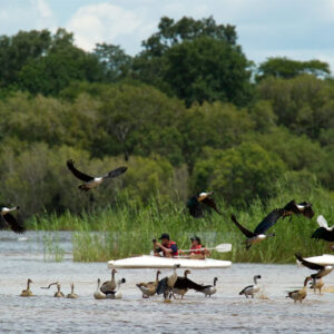 Zambezi Canoe Trails