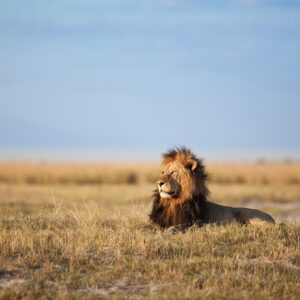 Zambezi National Park Game Drives, Walks & Night Drives